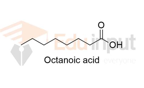  Octanoic Acid: En Essential Fett för Biologiska Produkter och Industriella Applikationer!