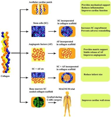  Collagen – En revolutionerande biomaterial för vävnadsregenerering och läkemedelsutgivning!