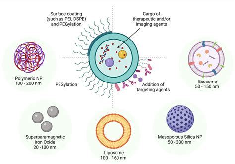  Dextran: En Biokompatibel Stjärna för Nanoteknologiska Tillämpningar och Läkemedelsförädling!