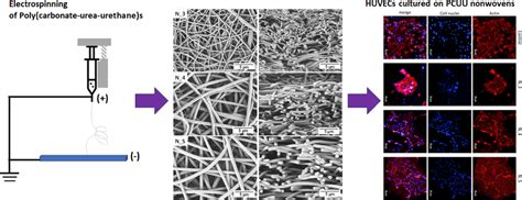  Urethane-Baserade Biomaterial: Revolutionerande Potential inom Medicinsk Teknik!